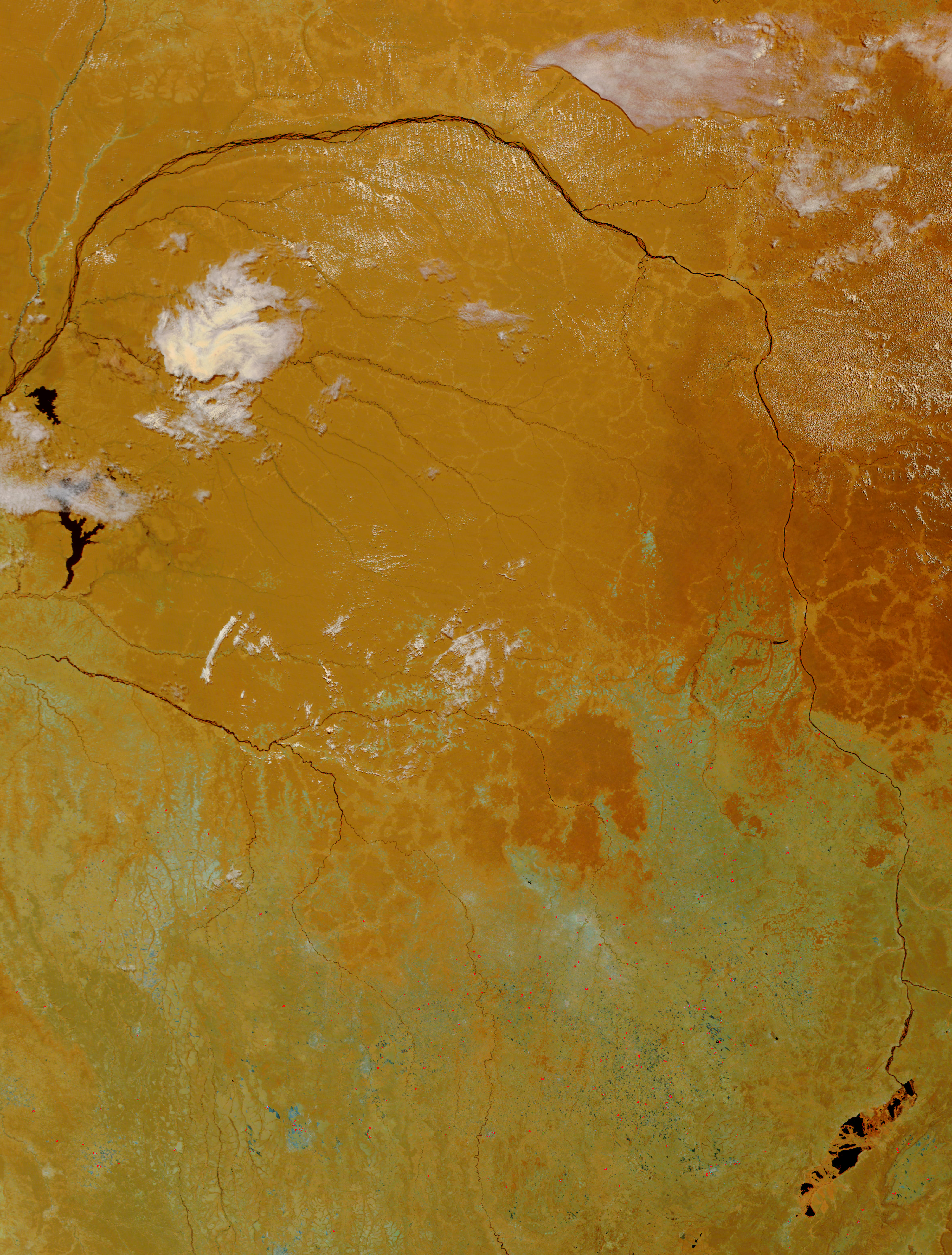 The Congo Basin (false color) - related image preview