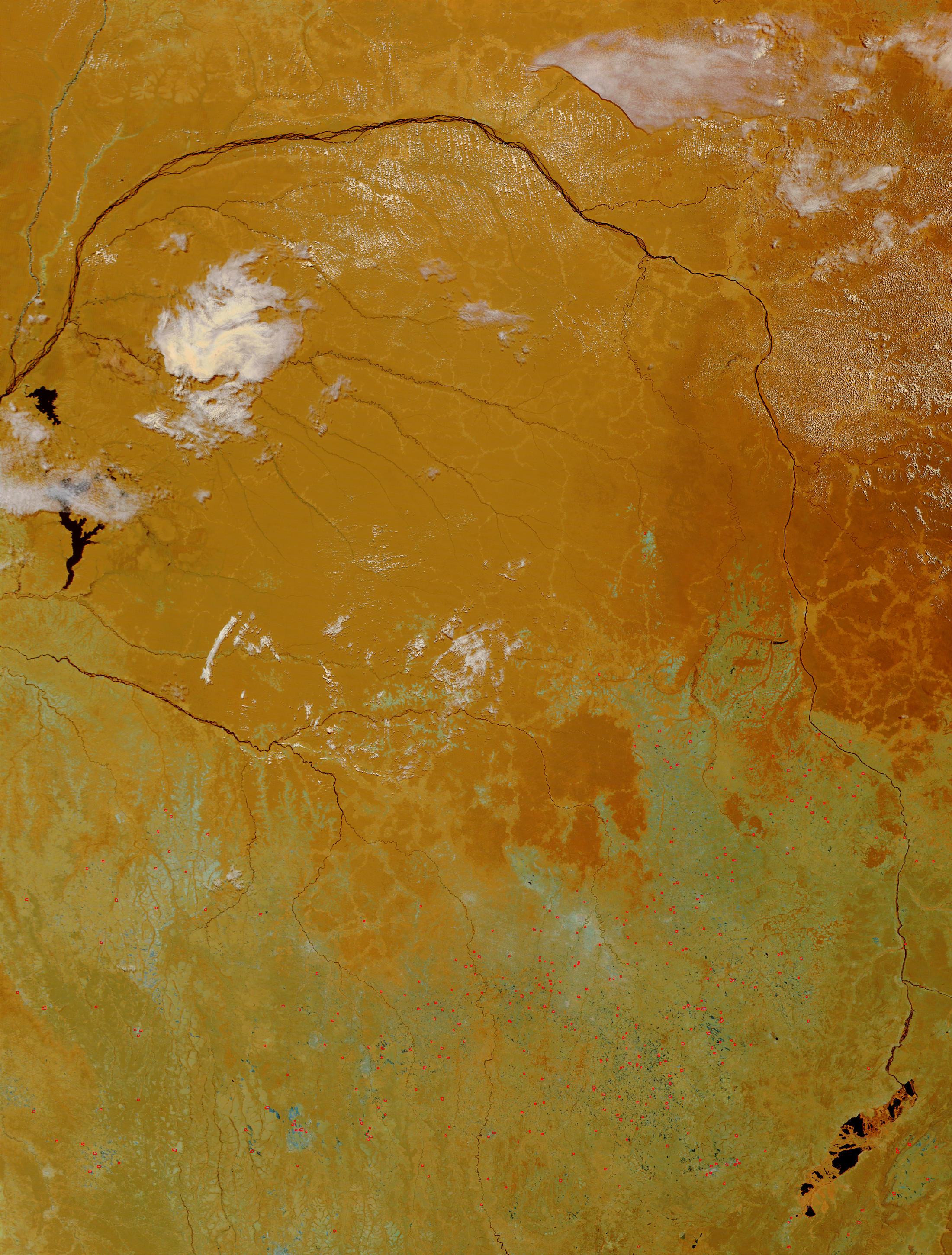 The Congo Basin (false color) - related image preview