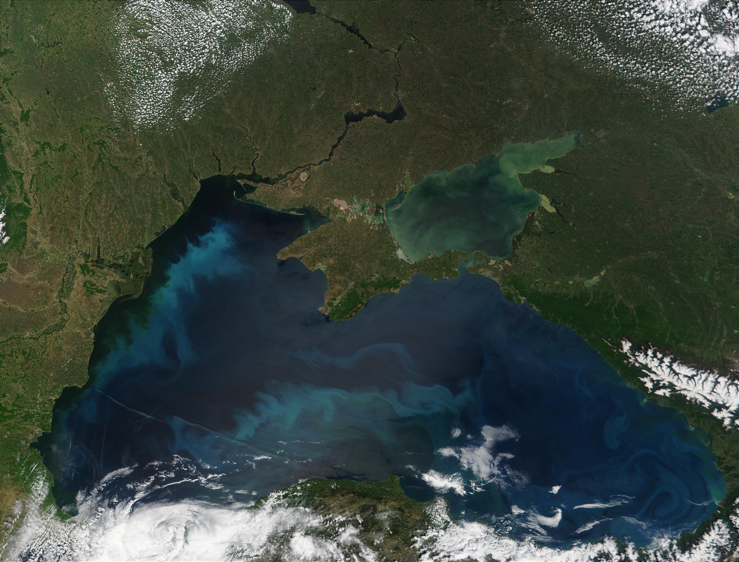 Phytoplankton bloom in the Black Sea - related imagethumbnail