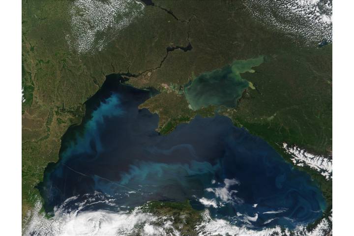 Phytoplankton bloom in the Black Sea - related imagethumbnail
