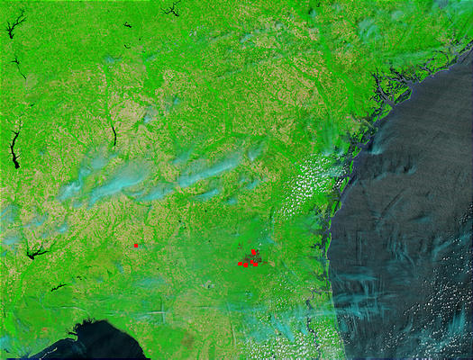 Burn scar from Blackjack Bay Complex fire, Georgia - related image preview