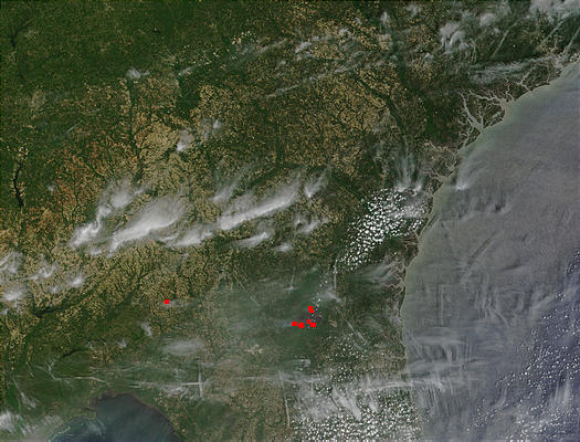 Blackjack Bay Complex fire, Georgia - related image preview