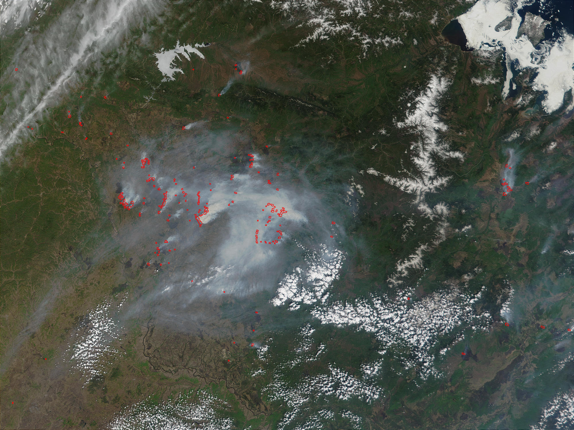 Fires in the Amur Region, Russia