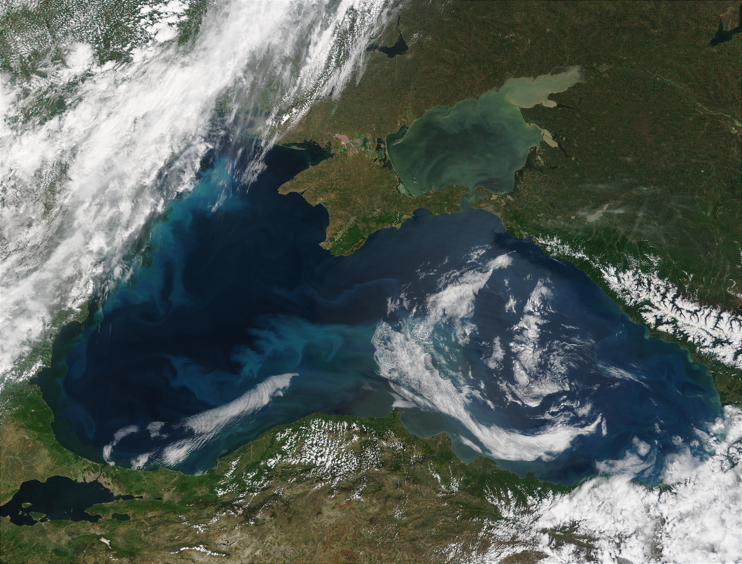 Phytoplankton bloom in the Black Sea - related image preview