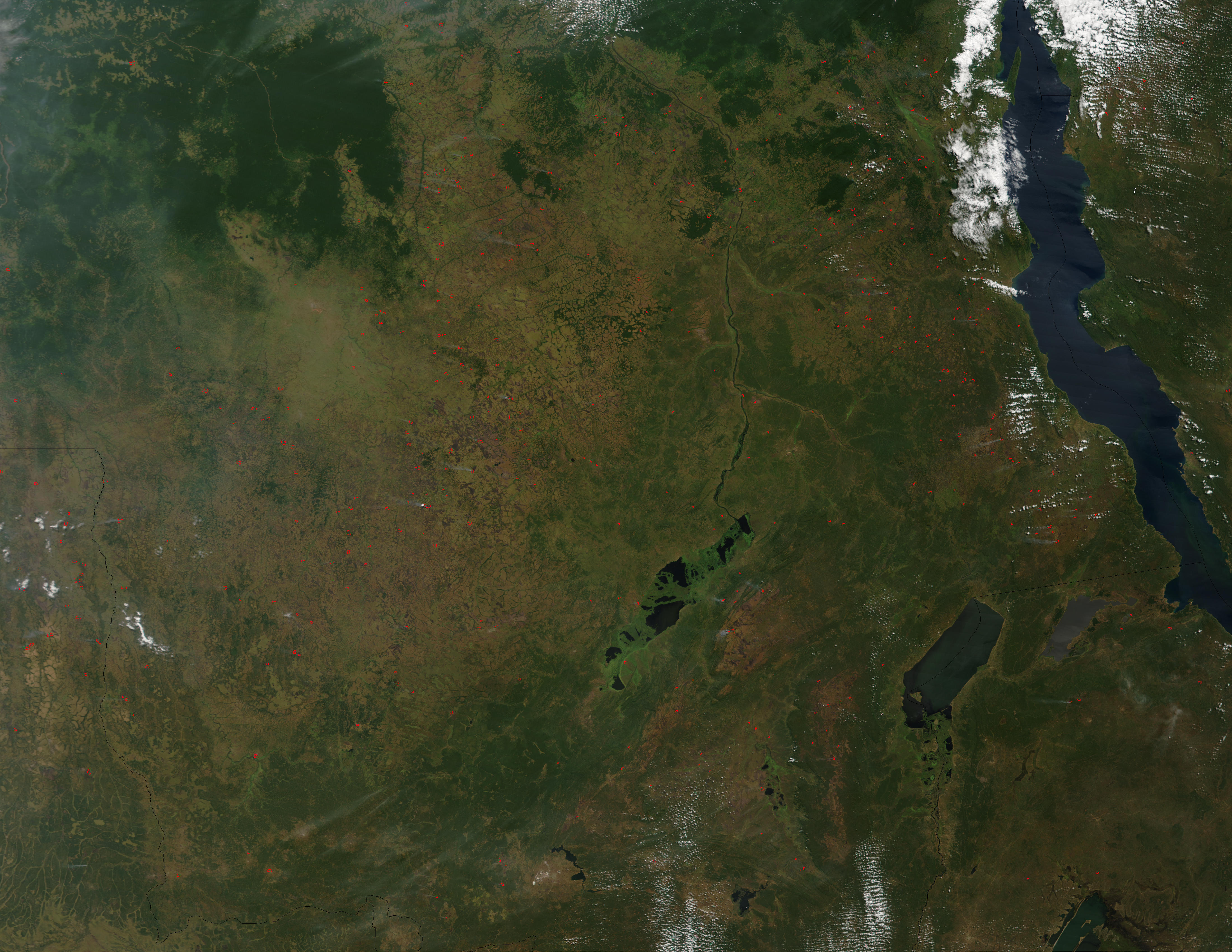 Fires in Democratic Republic of the Congo - related image preview