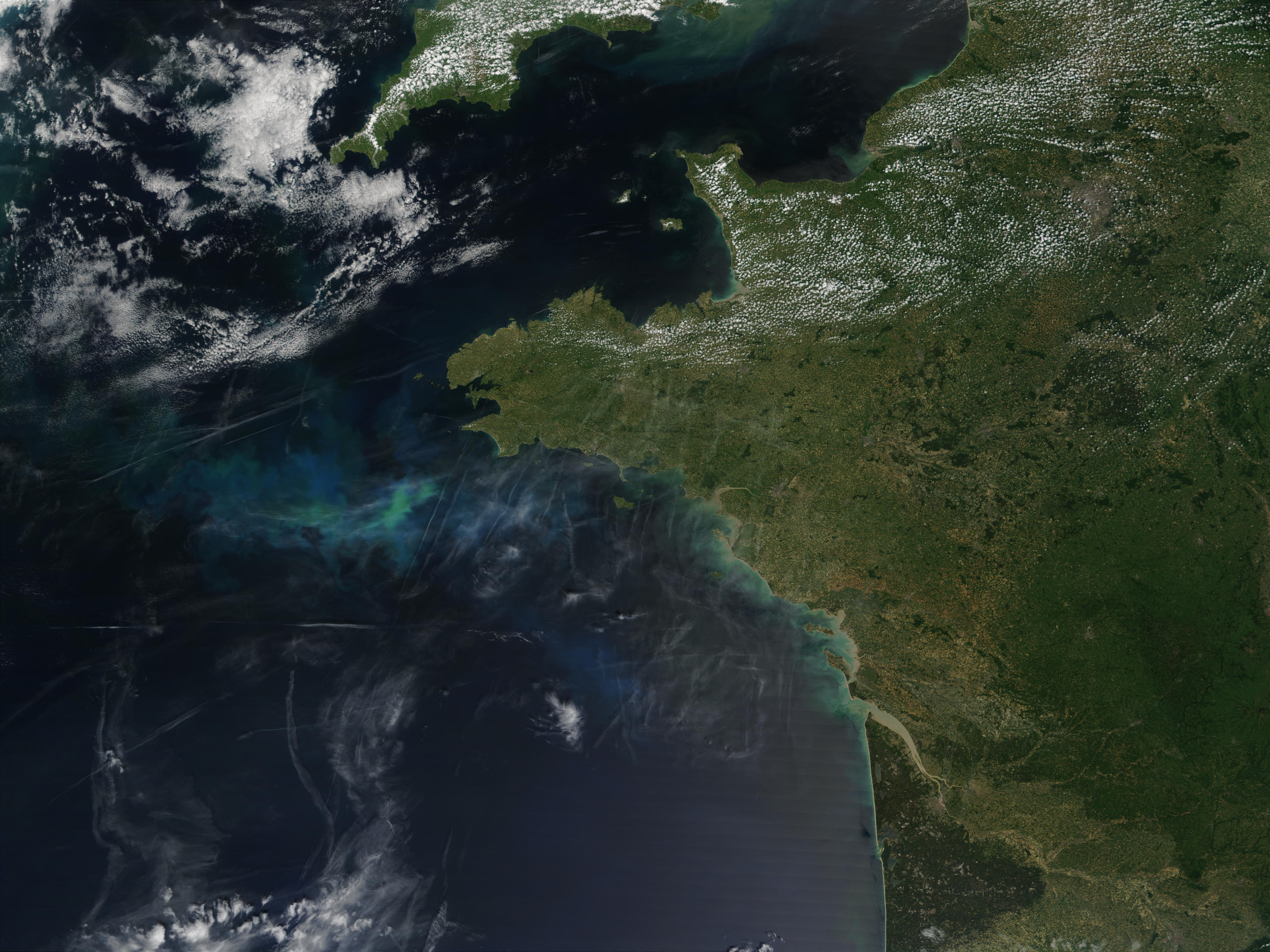 Phytoplankton bloom off Brittany, France - related image preview