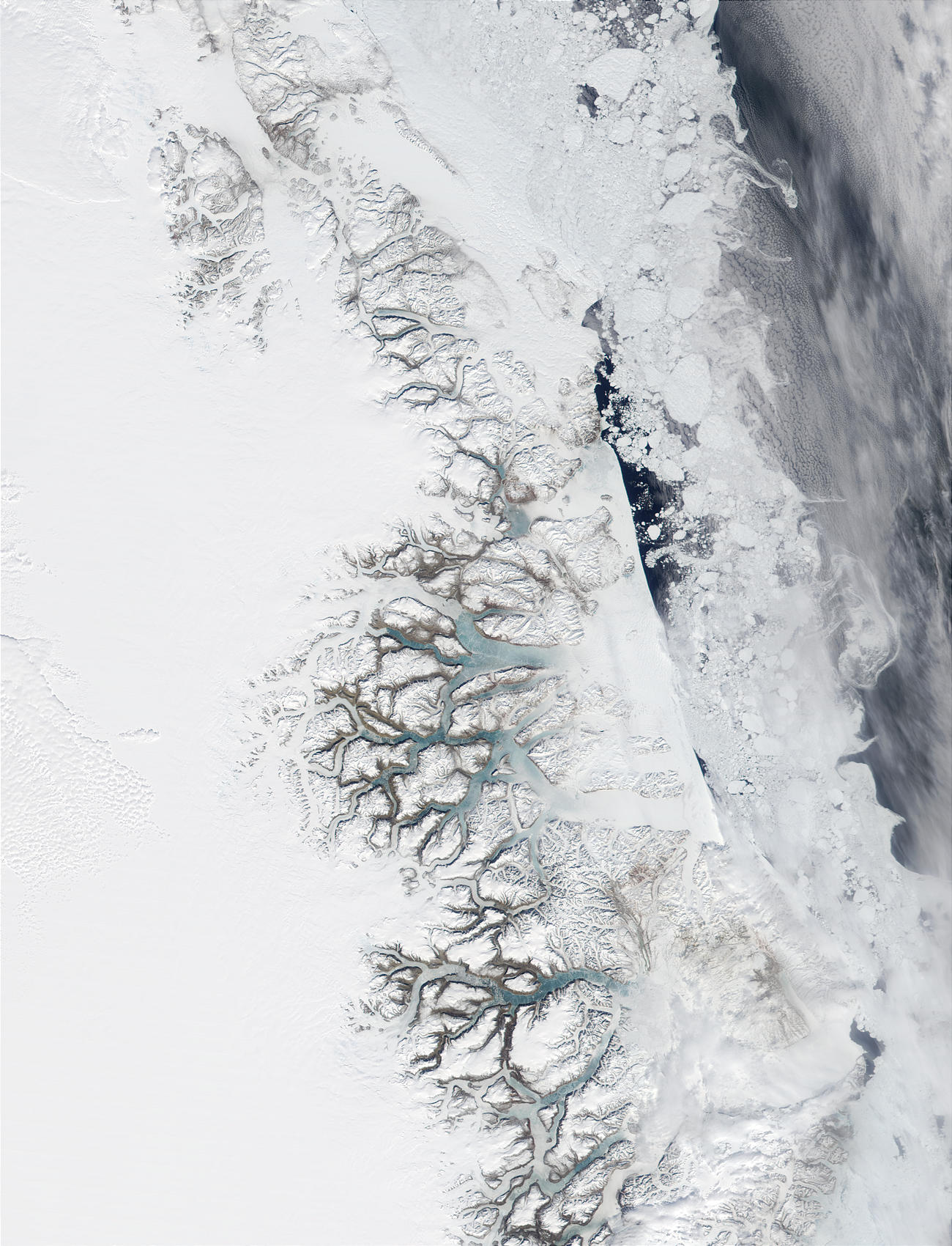 Greenland East Coast - related image preview