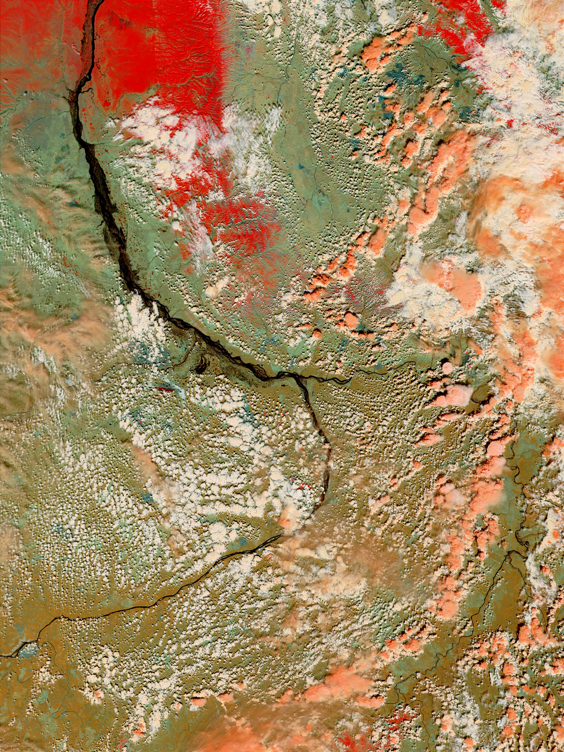 Floods along the Lena River, Russia (false color) - related image preview