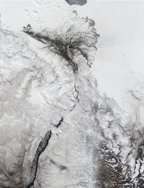 Mouth of the Lena River, Russia - related image preview