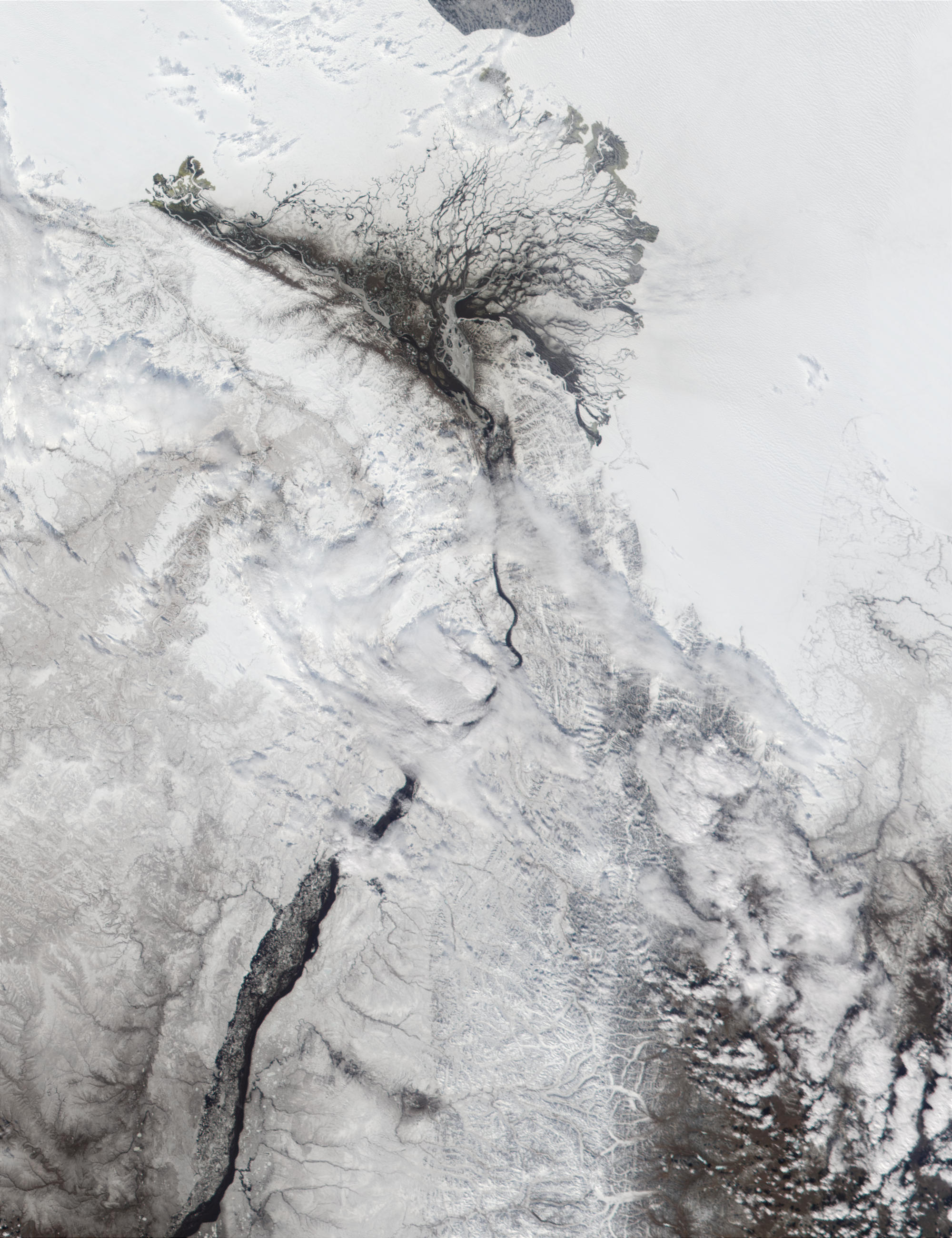 Mouth of the Lena River, Russia - related image preview