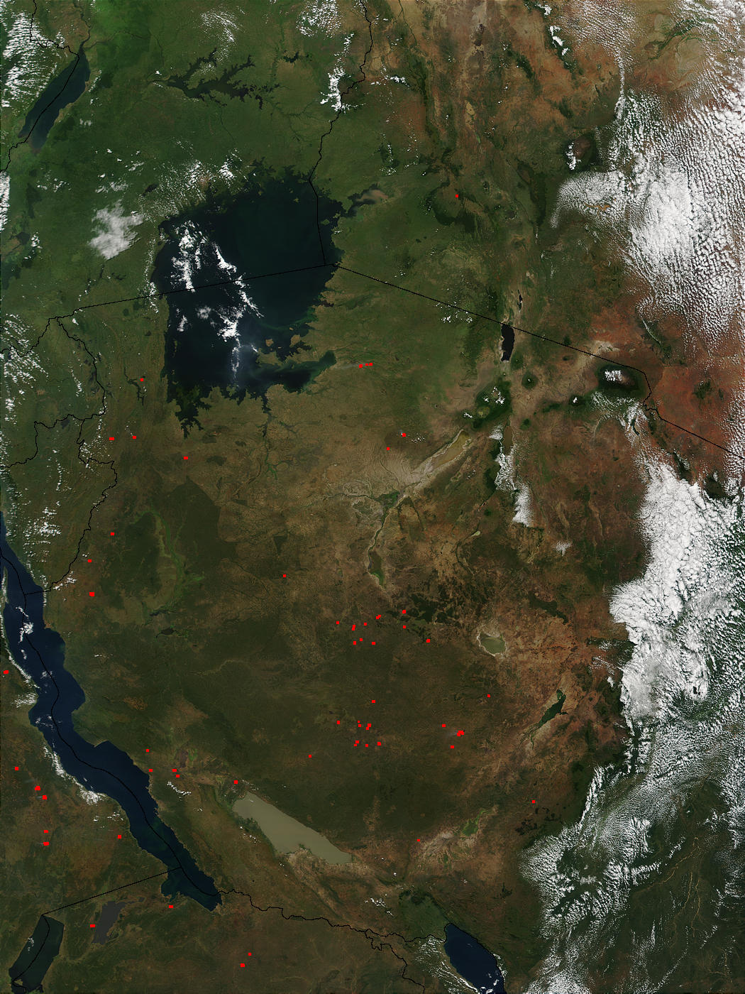 Fires in Tanzania - related image preview