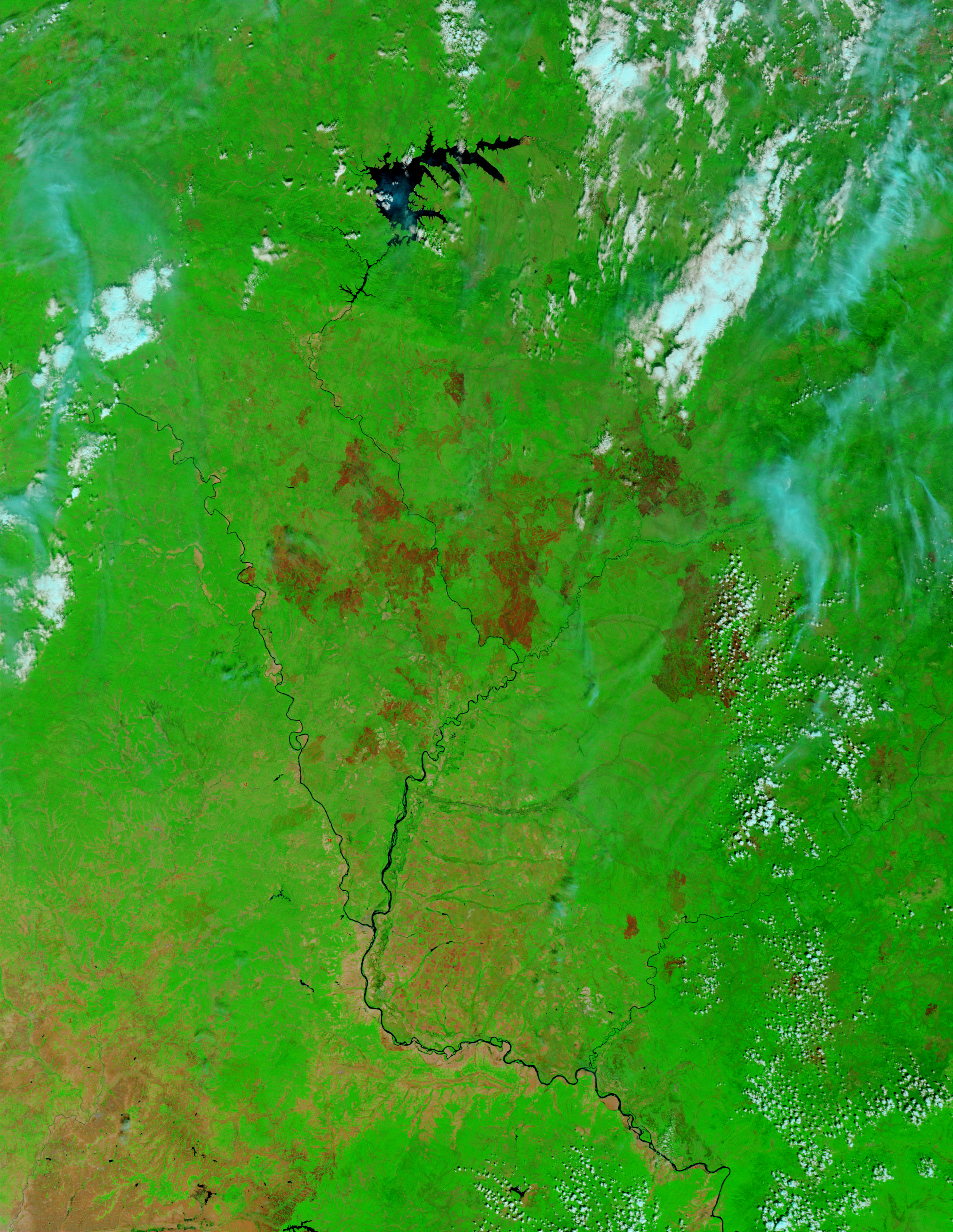 Burn scars in the Amur region, Eastern Russia (false color) - related image preview