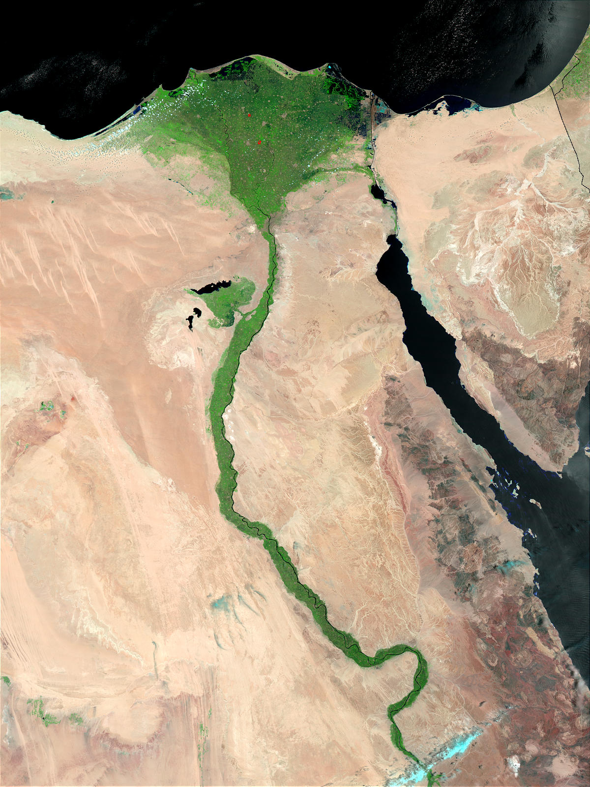 The Nile Delta, Egypt (false color) - related image preview