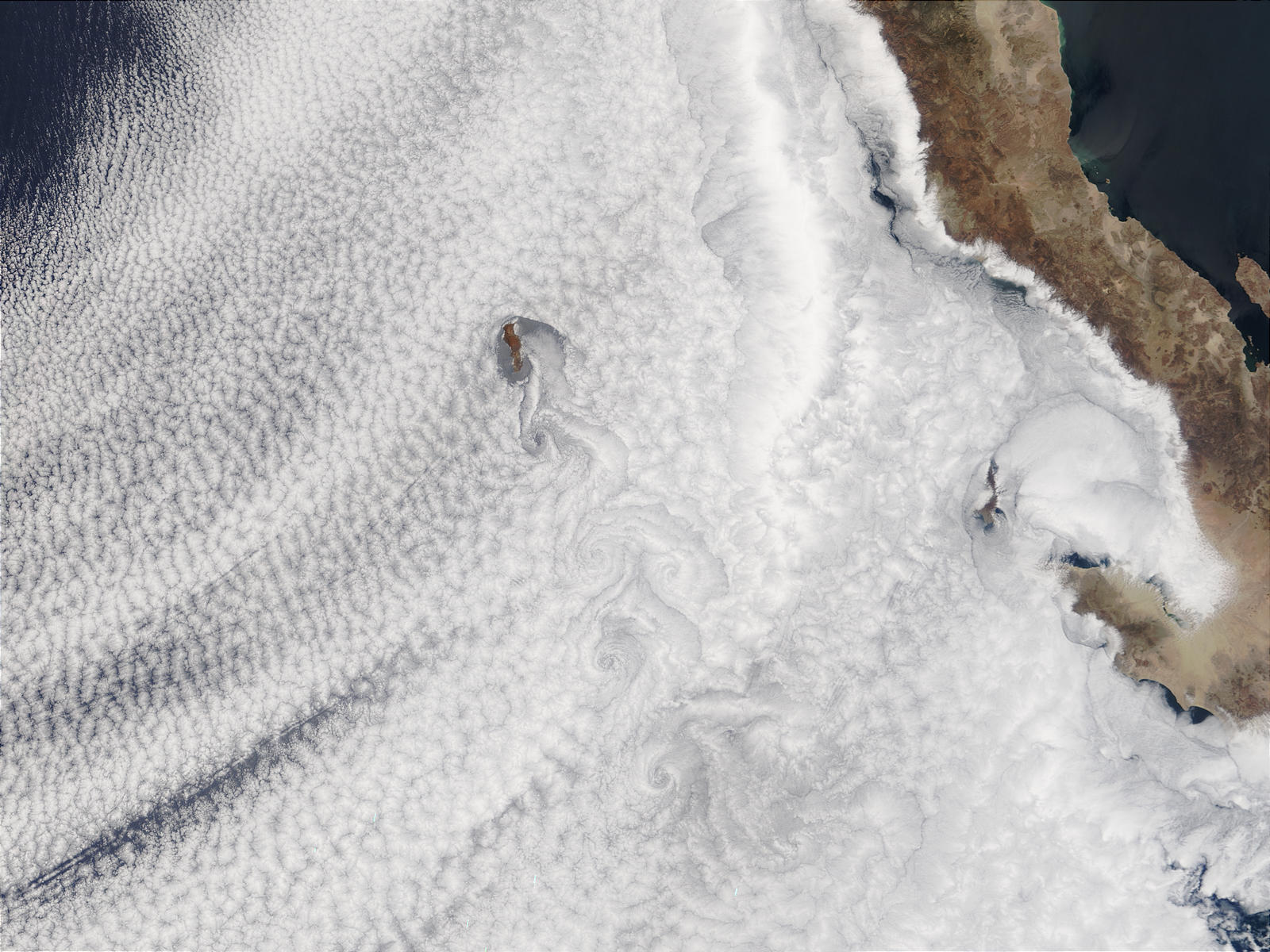 Vortex street south of Guadalupe Island, Mexico - related image preview