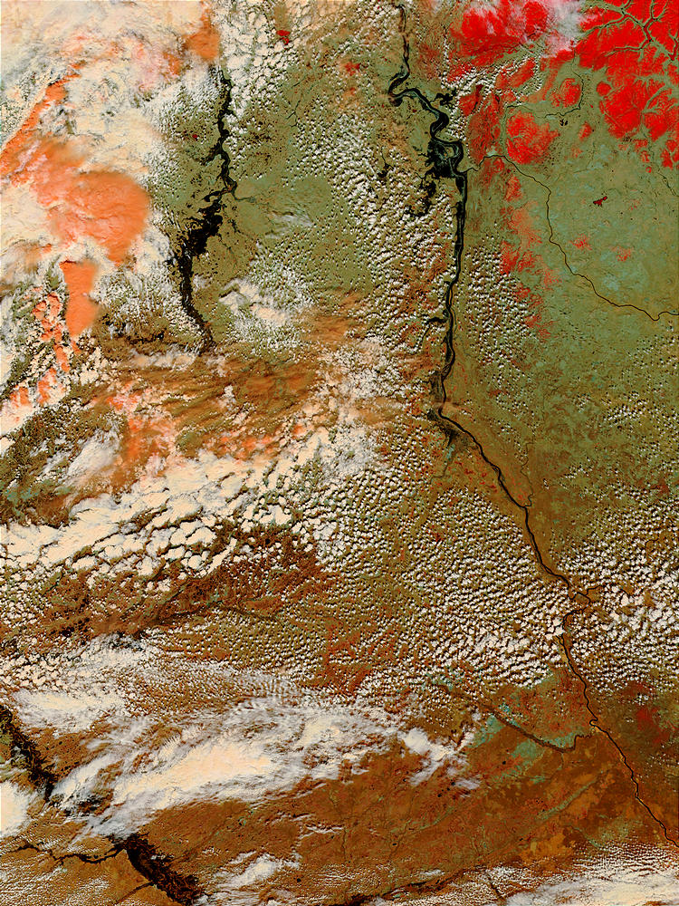 Flooding of the Yenisey and Taz Rivers, Russia (false color) - related image preview