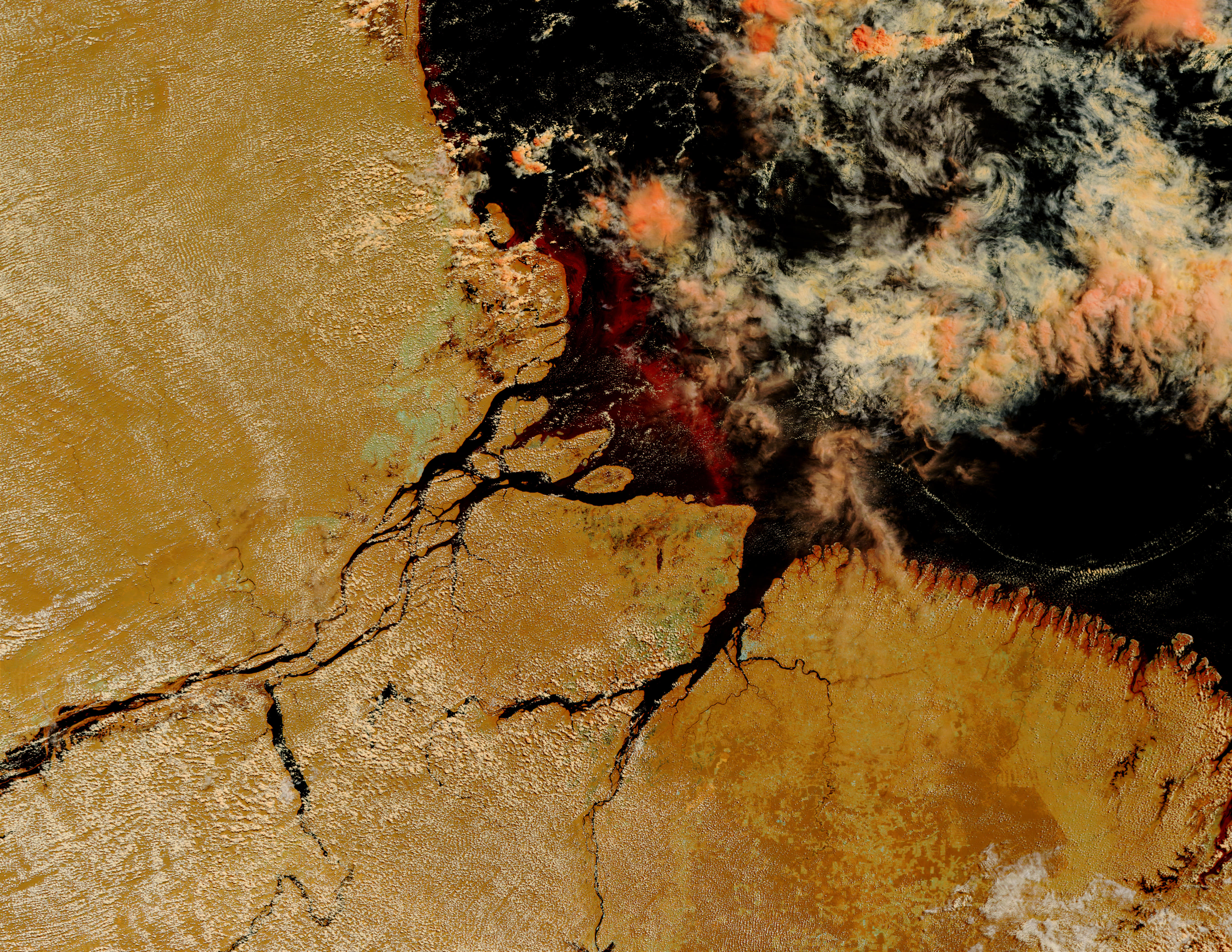 Mouth of the Amazon, Brazil (false color) - related image preview