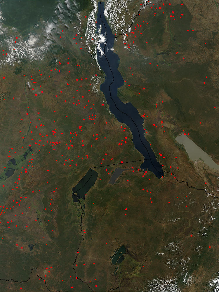 Fires in Congo, Tanzania, and Zambia - related image preview