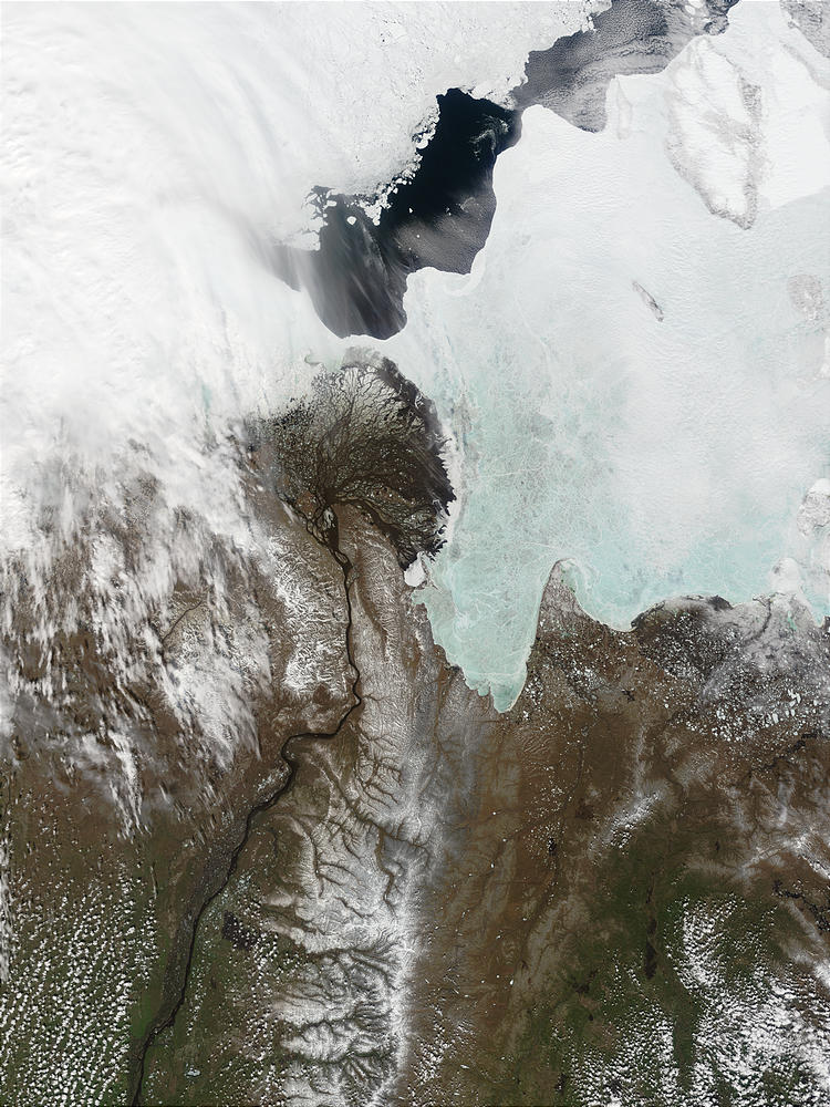 Mouth of the Lena River, Russia - related image preview