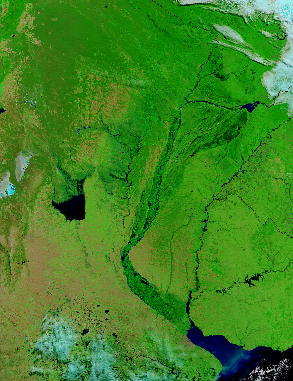 Argentina (false color) - related image preview