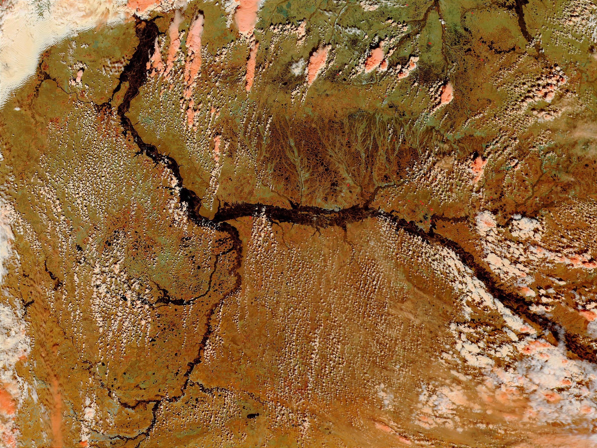 Flooding of the Ob and Irtysh Rivers, Russia (false color) - related image preview