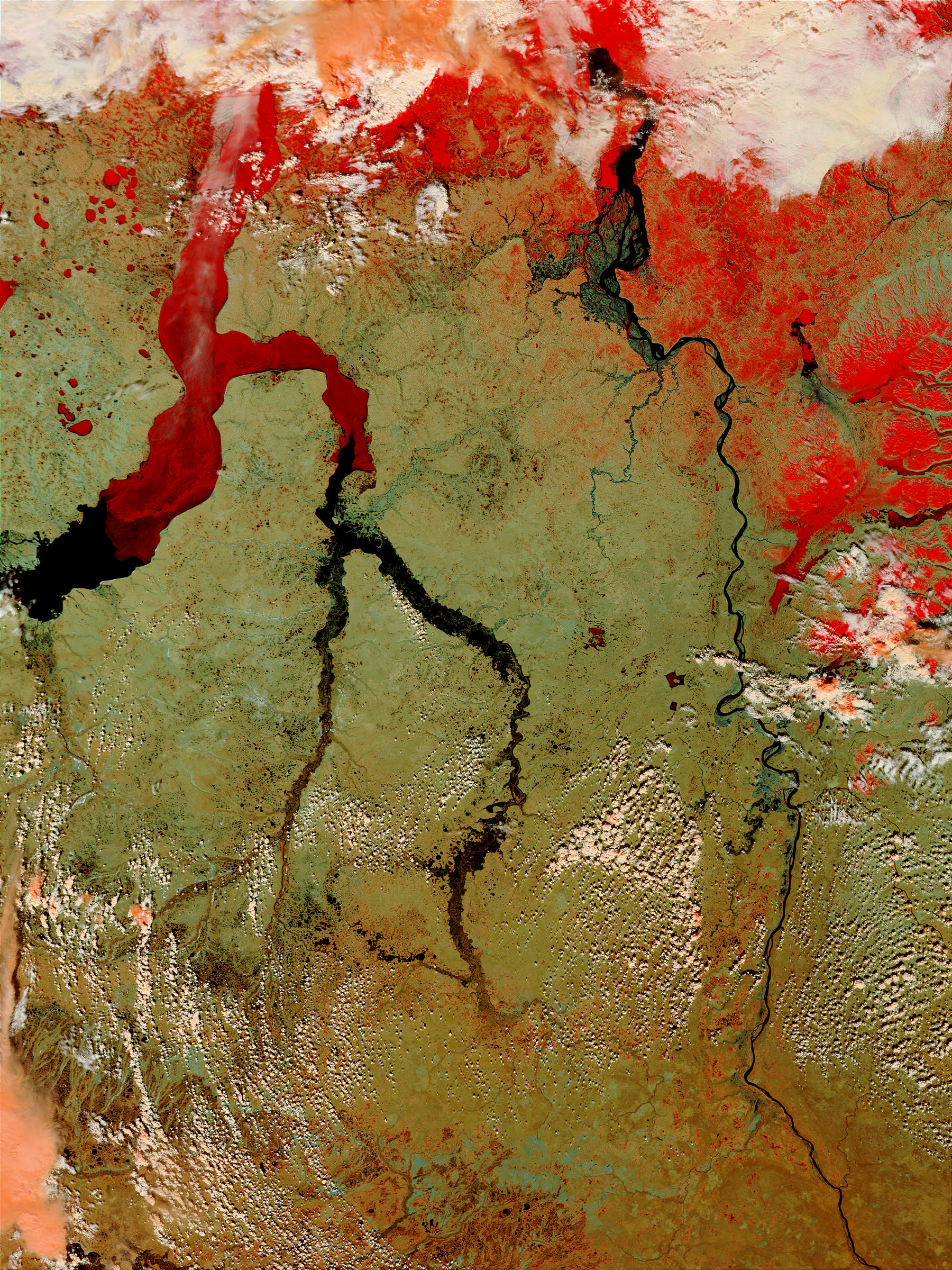 Flooding of the Taz, Pur, and Yenisey Rivers, Russia (false color) - related image preview