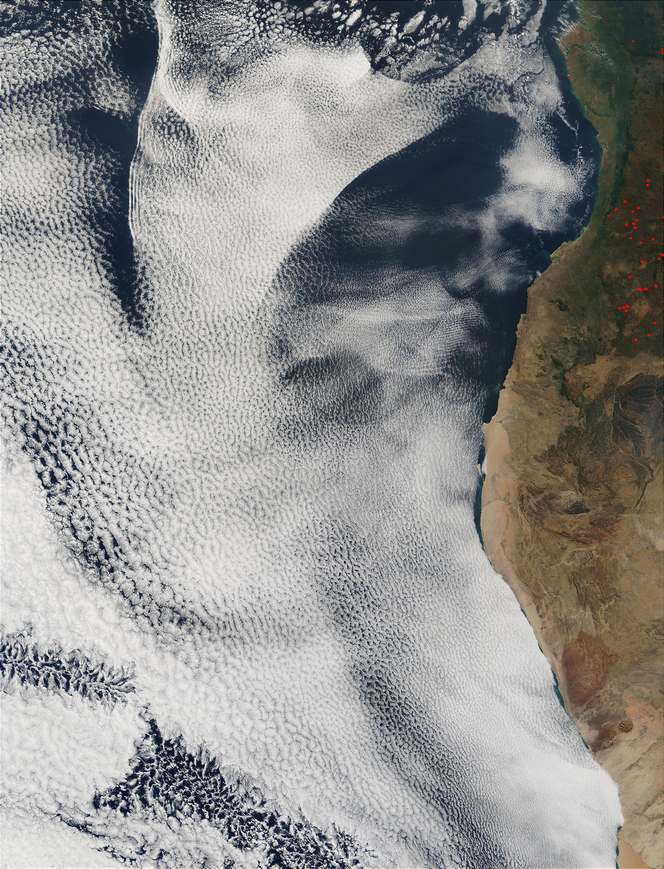 Large stratocumulus off Angola and Namibia - related image preview