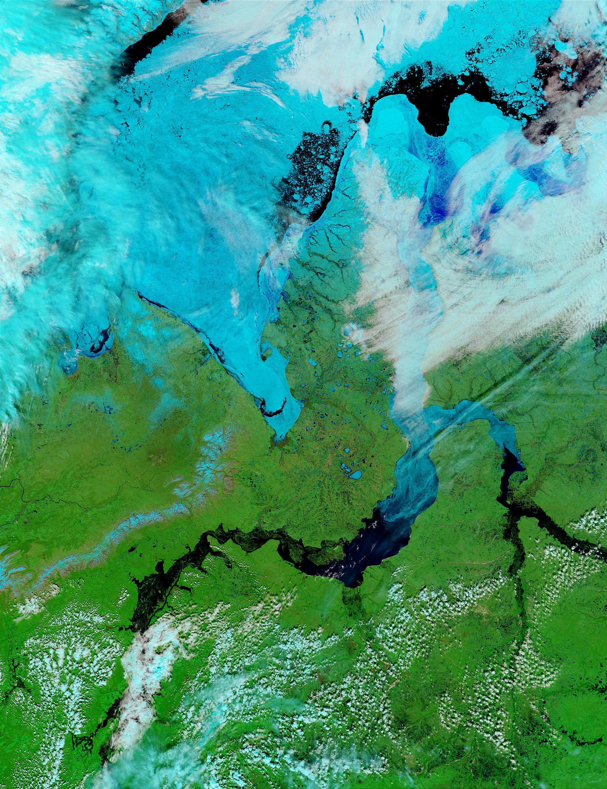 Mouth of the Ob River, Russia (false color) - related image preview