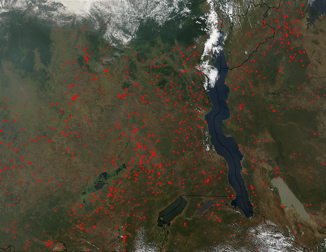 Fires in Tanzania and Democratic Republic of the Congo - related image preview