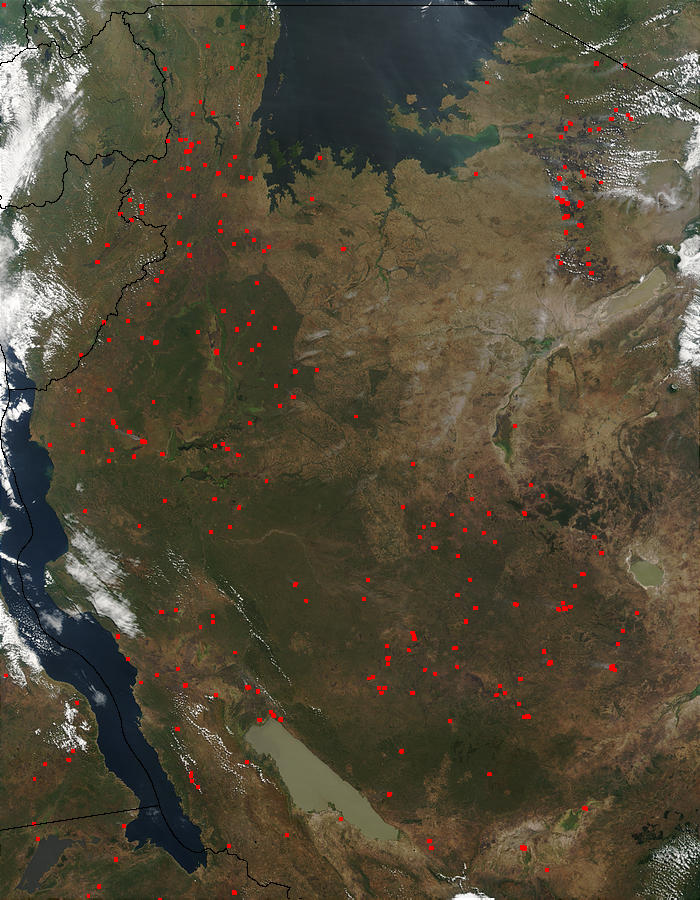 Fires in Tanzania - related image preview