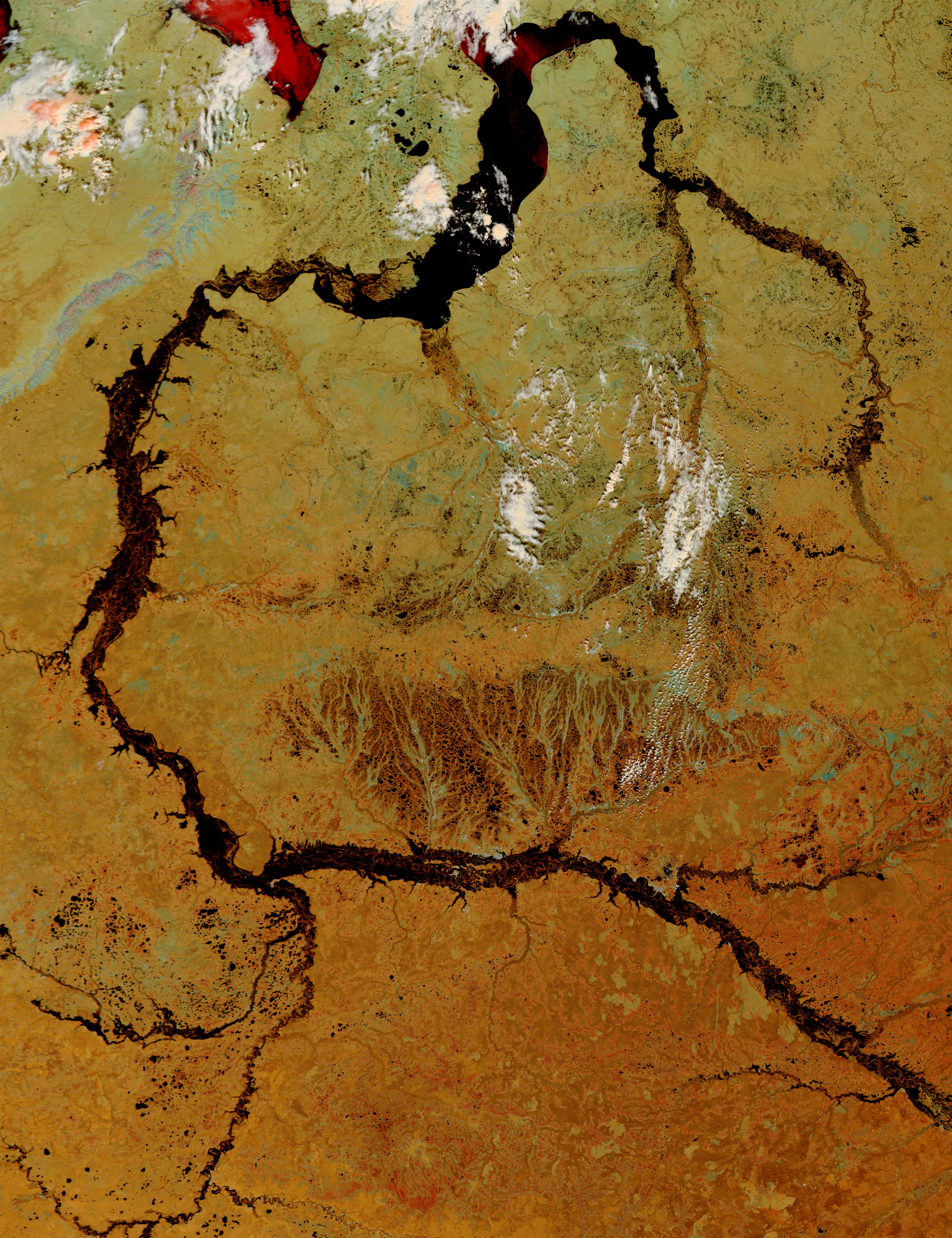 Flooding of the Ob and Taz Rivers, Russia (false color) - related image preview