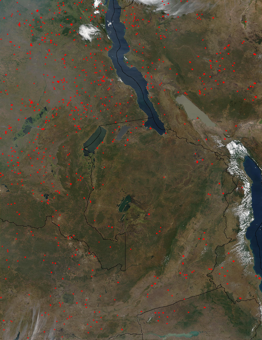 Fires in Democratic Republic of the Congo, Tanzania, and Zambia - related image preview