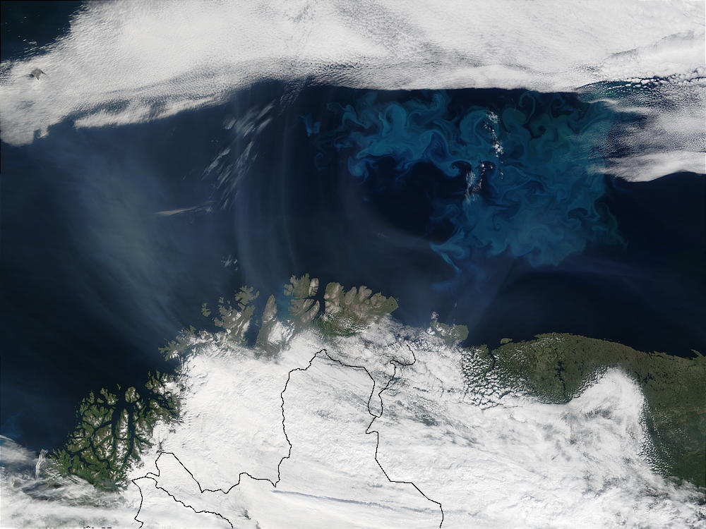 Smoke from Saskatchewan fires (Canada) and phytoplankton bloom off Northern Norway - related image preview