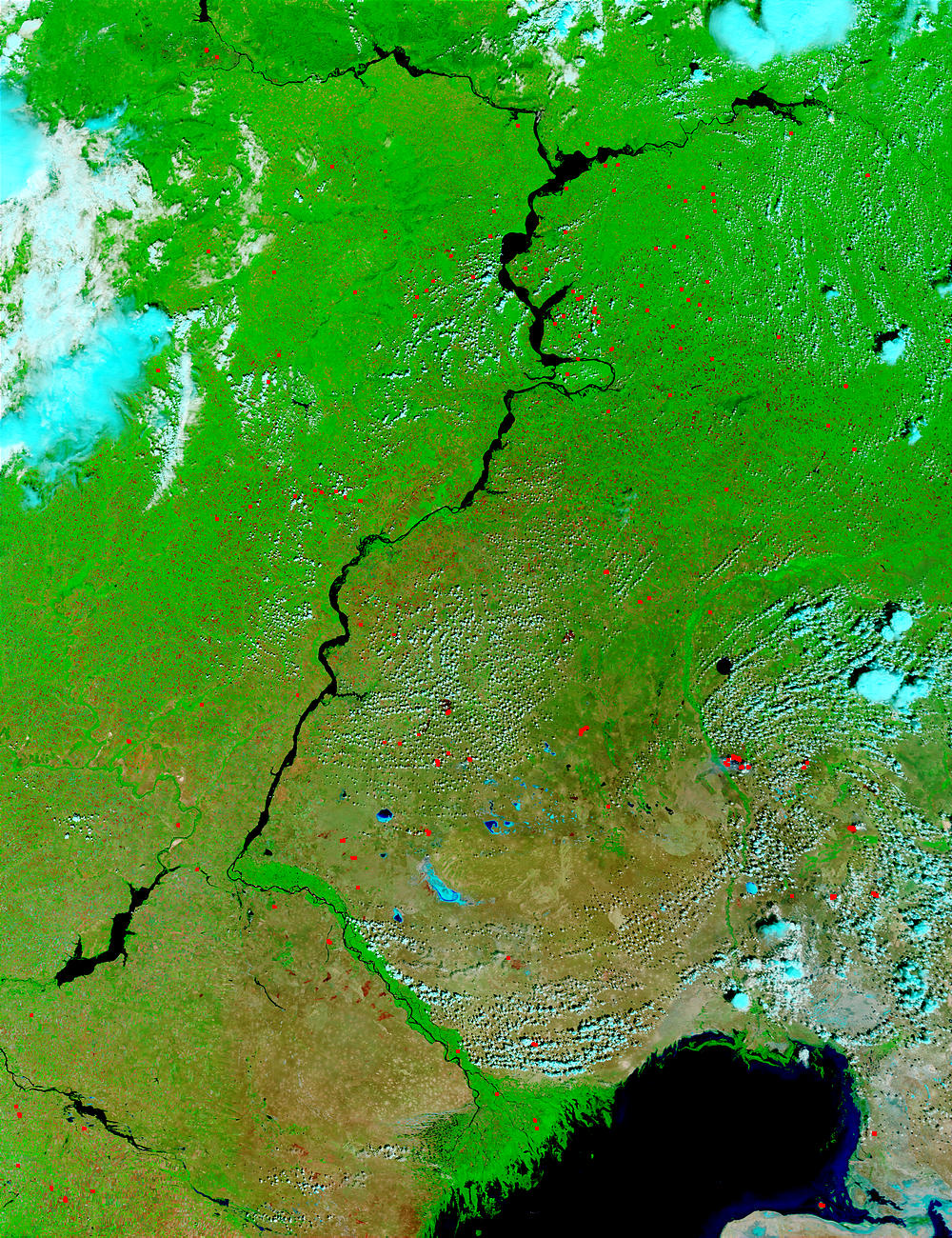 Fires in Russia and Kazakhstan (false color) - related image preview