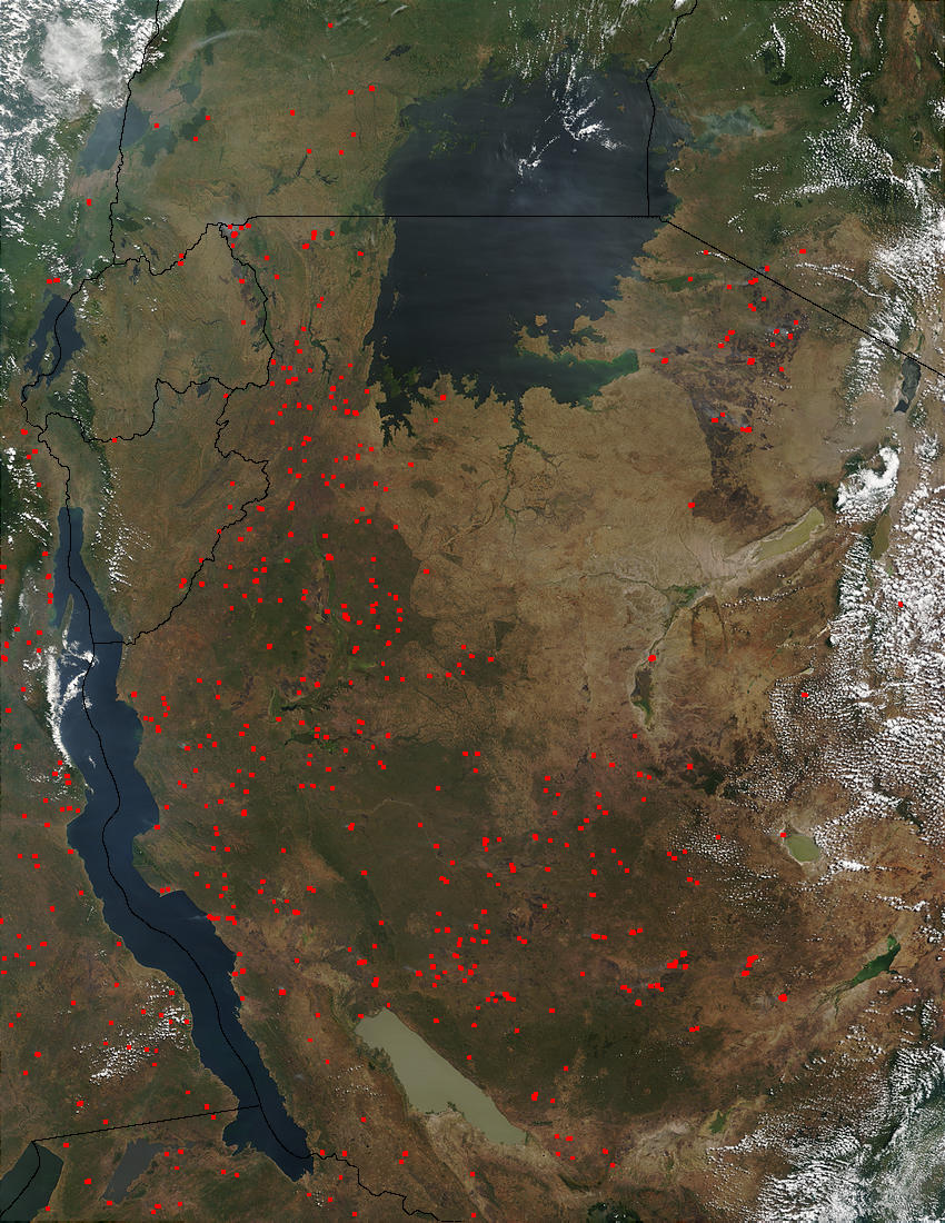 Fires in Tanzania - related image preview