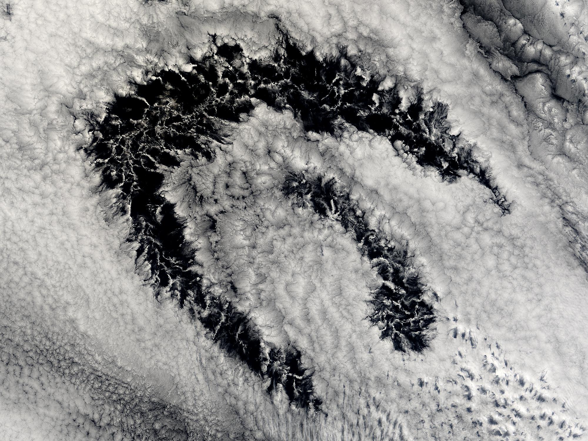 Open-cell and closed-cell clouds off Chile - related image preview