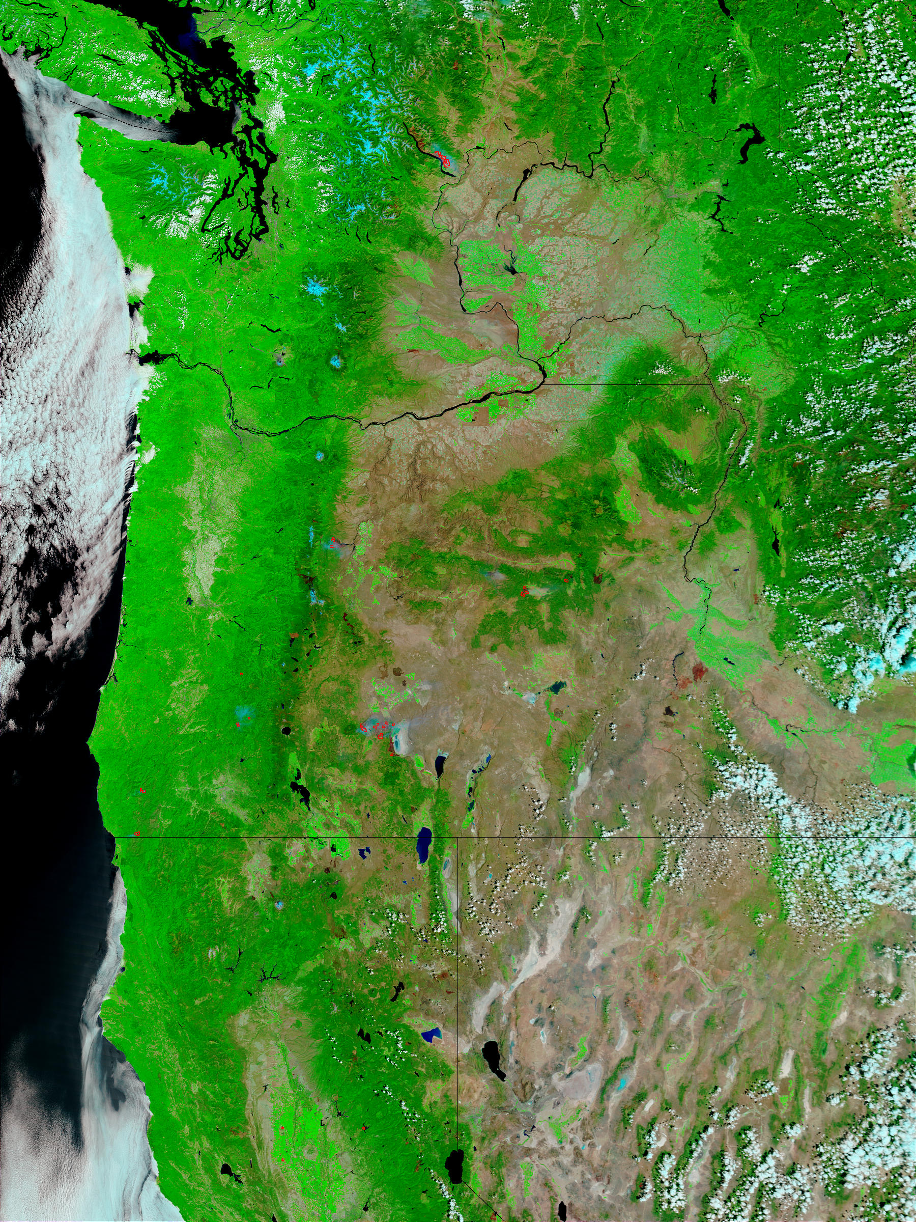 Fires in Oregon and Washington (false color) - related image preview