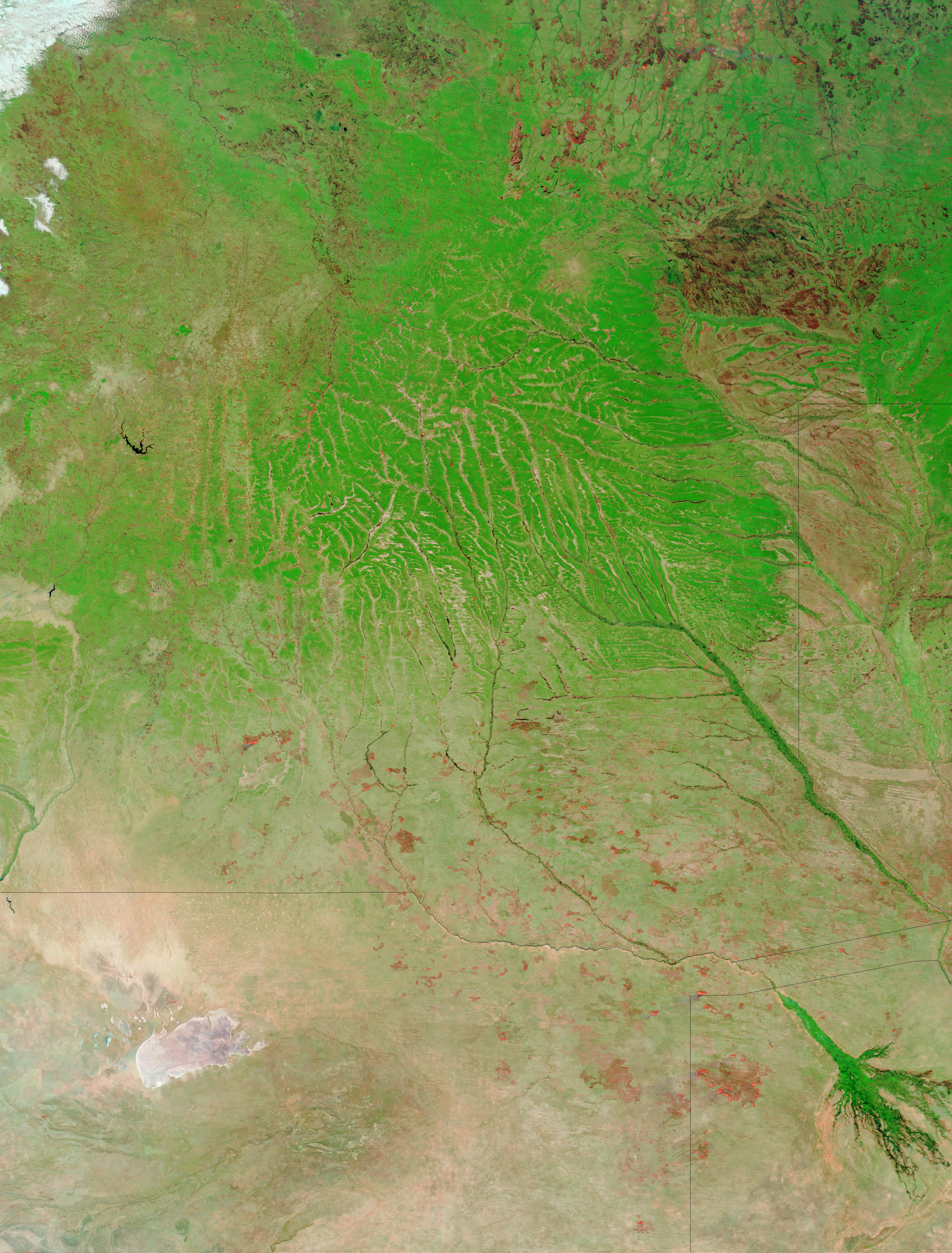 Fires and burn scars in Angola and Botswana (false color) - related image preview