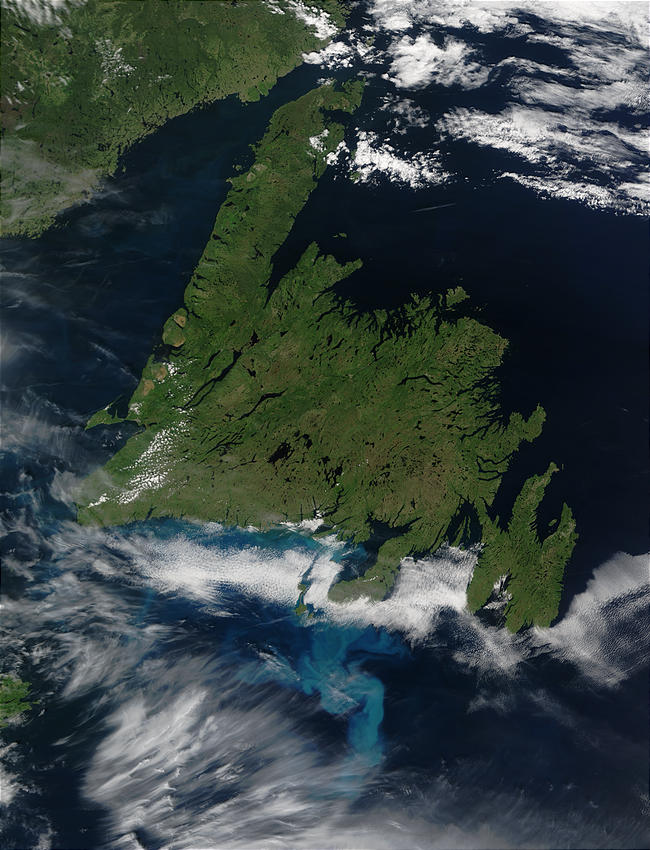 Phytoplankton bloom off Newfoundland, Canada - related image preview