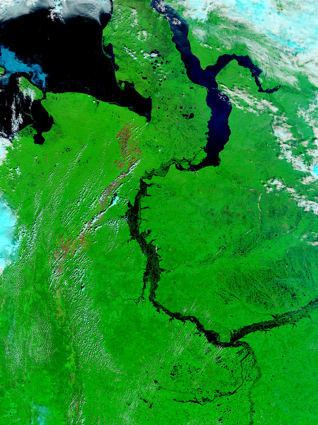 Flooding of the Ob River, Russia (false color) - related image preview