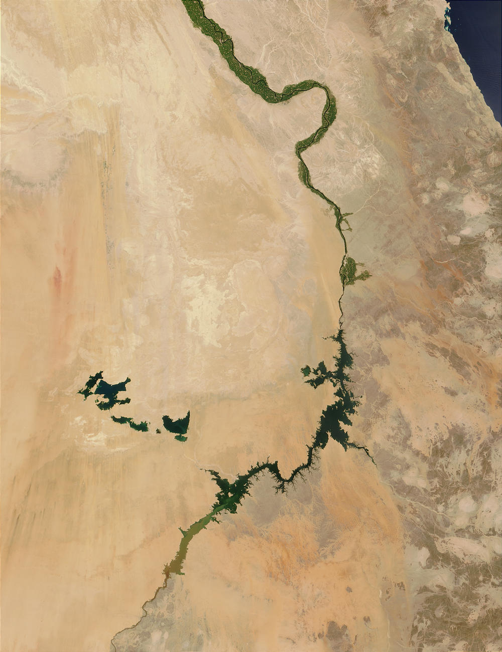 The Nile, Egypt - related image preview