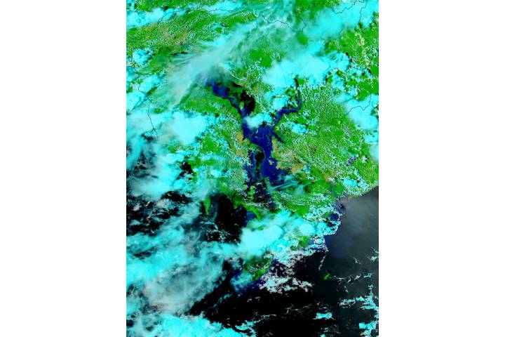 Flooding of the Mekong in Cambodia and Vietnam (false color) - selected image