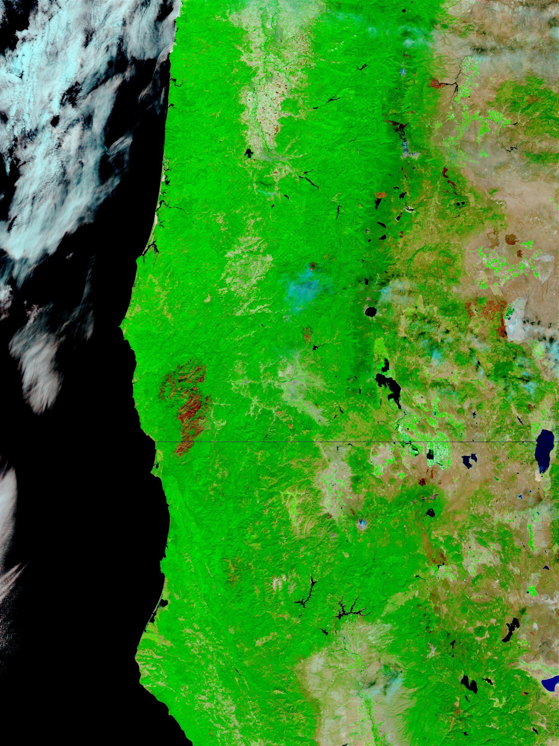 Burn scar of the Biscuit Fire, Oregon (false color) - related image preview