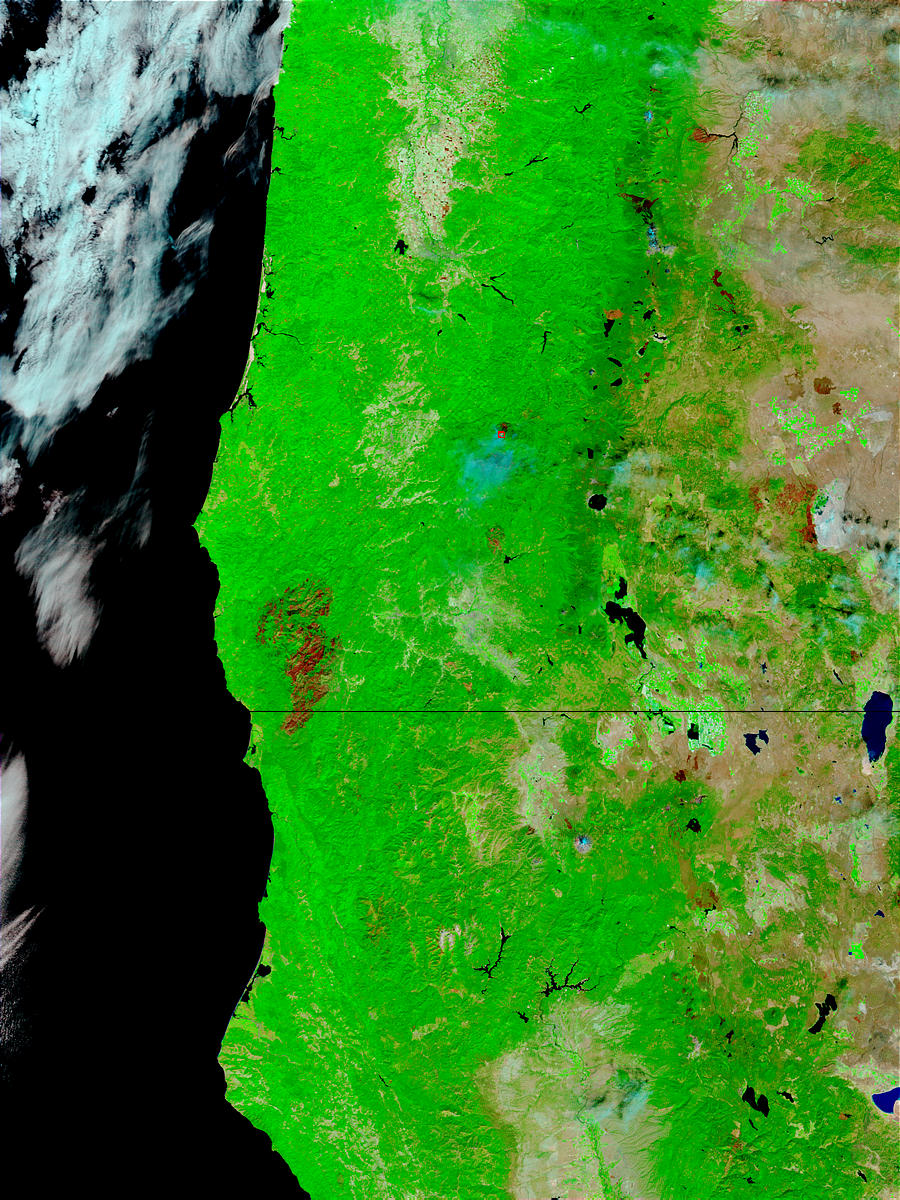 Burn scar of the Biscuit Fire, Oregon (false color) - related image preview