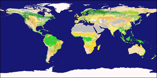 Global Land Cover